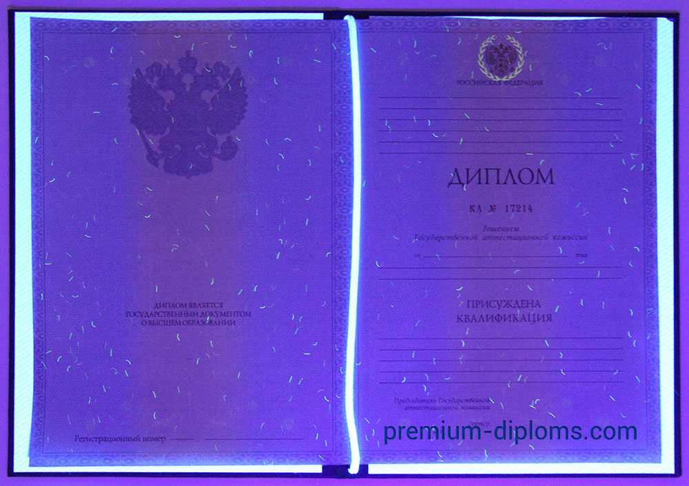Диплом магистра 2010-2013 год фото